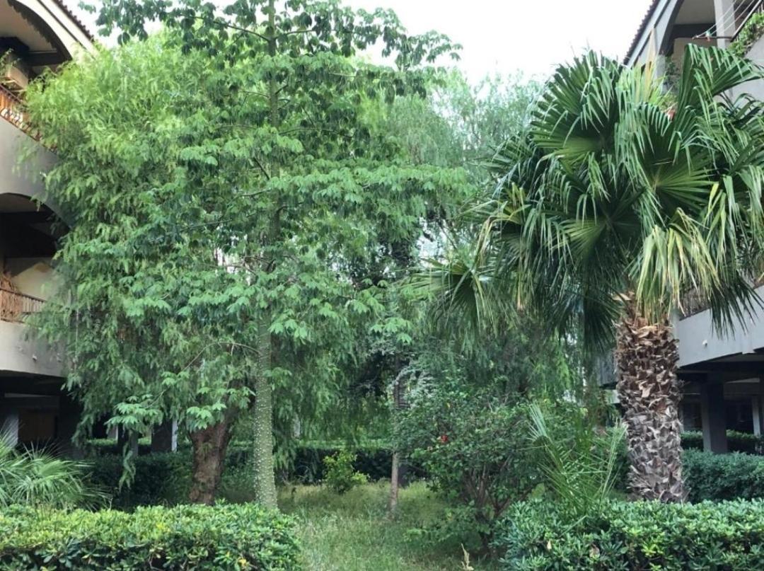 Pantanello Apartment Avola Ngoại thất bức ảnh